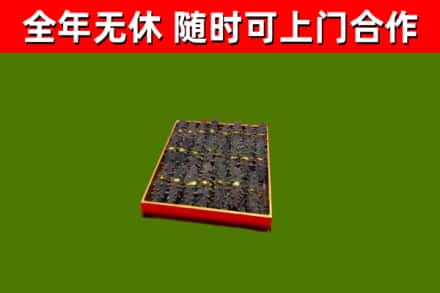 沛市回收海参